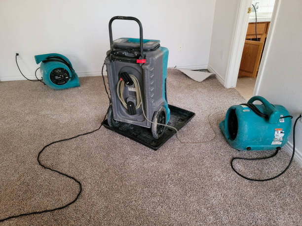 Best Local water damage restoration  in Cambridge Springs, PA