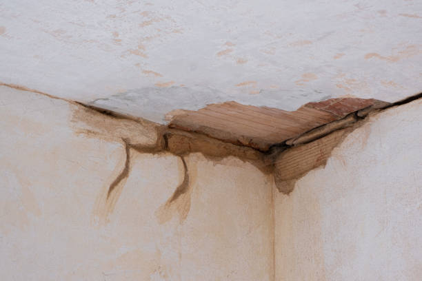Best Basement water damage restoration  in Cambridge Springs, PA