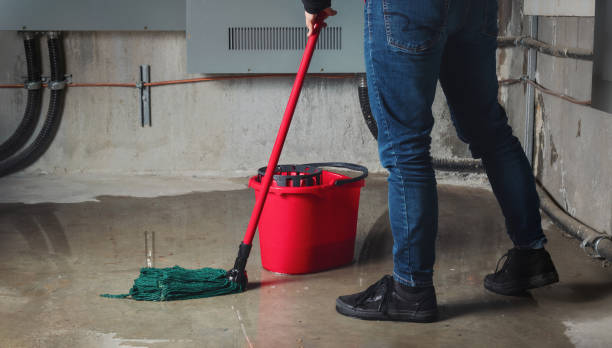 Best Carpet water damage restoration  in Cambridge Springs, PA