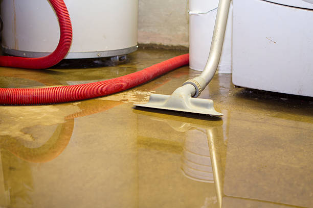 Water damage restoration insurance claims in Cambridge Springs, PA
