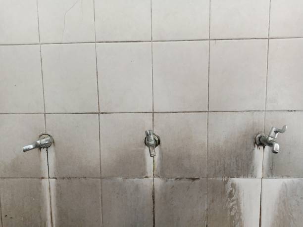 Best Ceiling water damage repair  in Cambridge Springs, PA