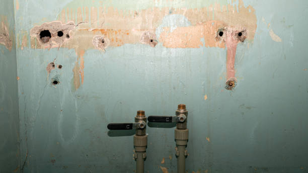 Best Water damage mitigation services  in Cambridge Springs, PA
