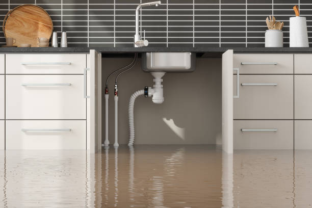 Best Sewage cleanup and water damage restoration  in Cambridge Springs, PA