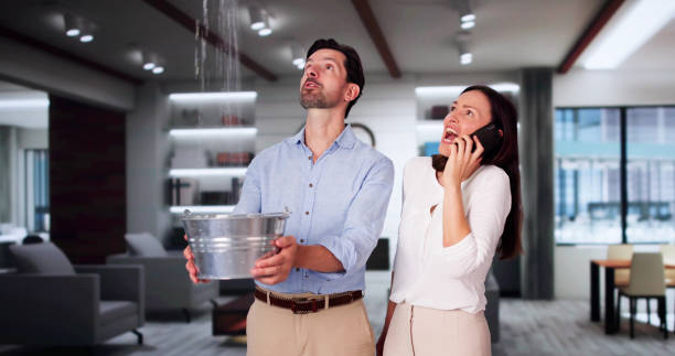 Best Water damage mitigation services  in Cambridge Springs, PA