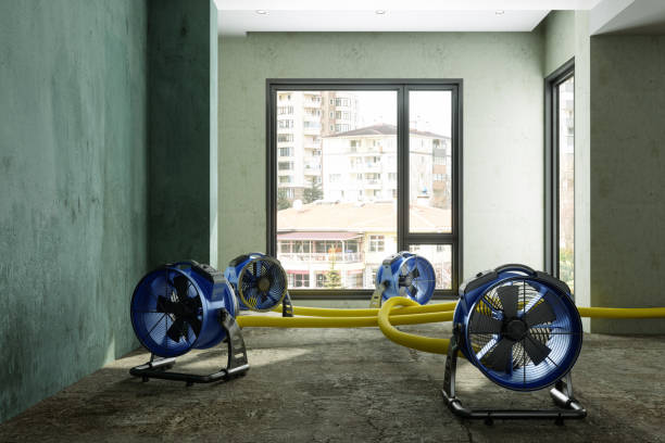 Best Water damage restoration company  in Cambridge Springs, PA