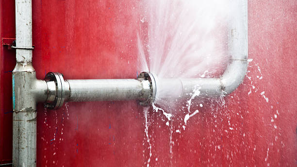 Best Commercial water damage restoration  in Cambridge Springs, PA