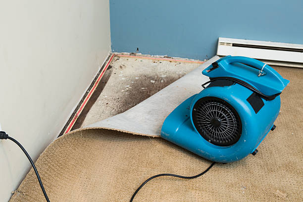 Best Water damage restoration process  in Cambridge Springs, PA
